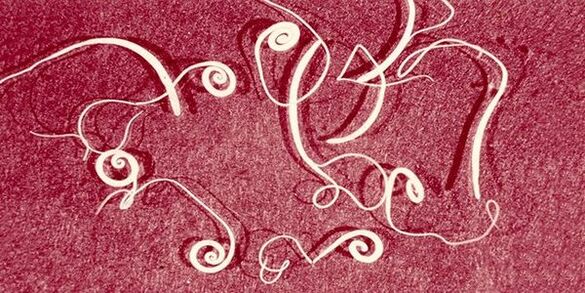 insan vücudundaki kıl kurtları