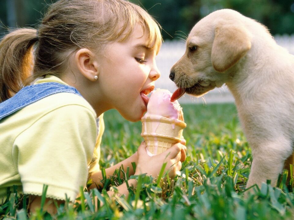 kız ve köpek dondurma yer ve parazitlere yakalanırlar